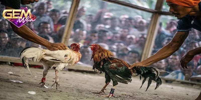Chú ý thể lực và kỹ năng cần thiết